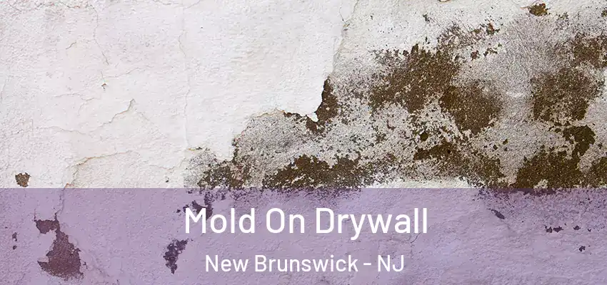  Mold On Drywall New Brunswick - NJ