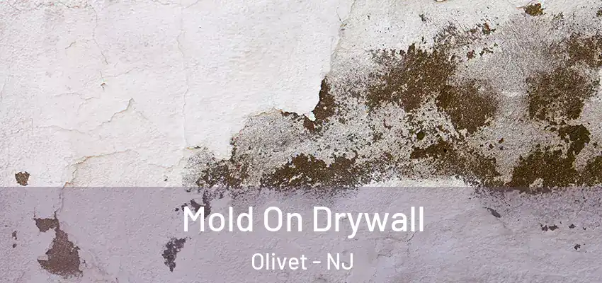 Mold On Drywall Olivet - NJ