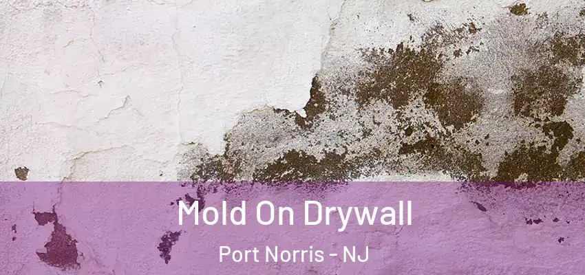 Mold On Drywall Port Norris - NJ