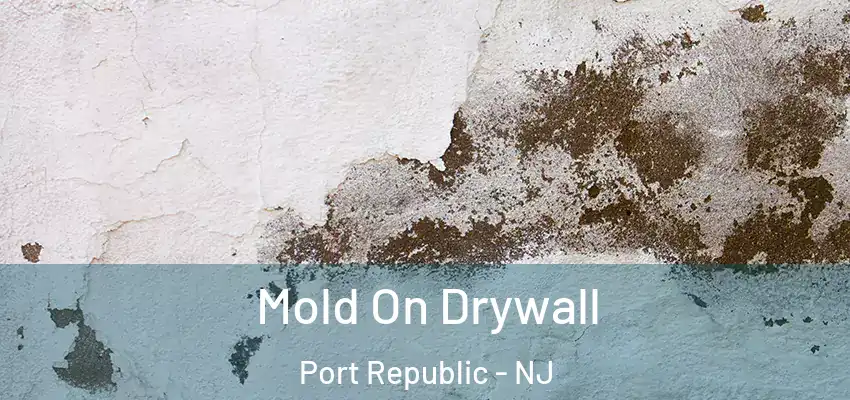  Mold On Drywall Port Republic - NJ