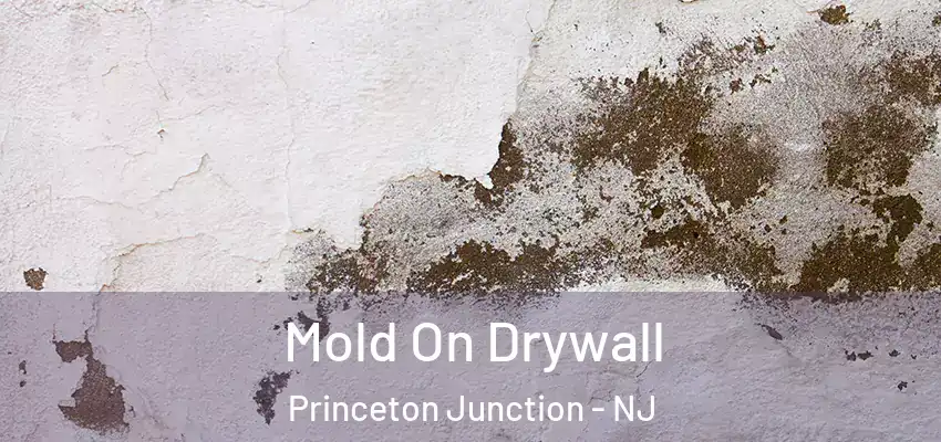 Mold On Drywall Princeton Junction - NJ