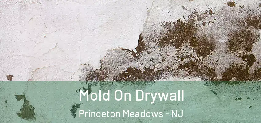 Mold On Drywall Princeton Meadows - NJ