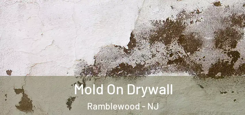 Mold On Drywall Ramblewood - NJ