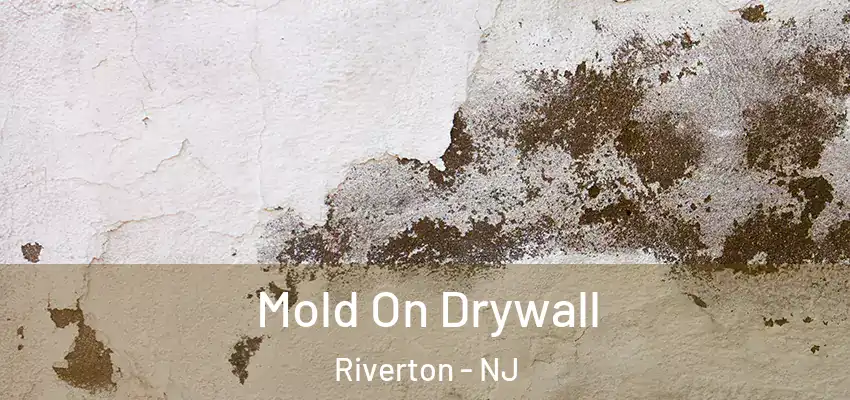  Mold On Drywall Riverton - NJ
