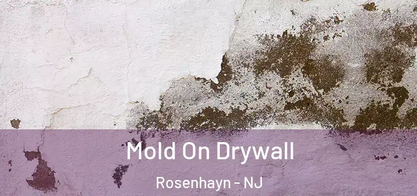 Mold On Drywall Rosenhayn - NJ