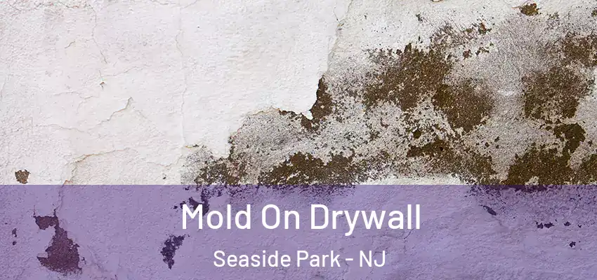 Mold On Drywall Seaside Park - NJ