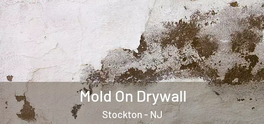  Mold On Drywall Stockton - NJ