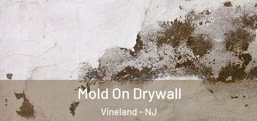 Mold On Drywall Vineland - NJ