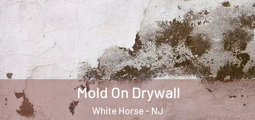 Mold On Drywall White Horse - NJ