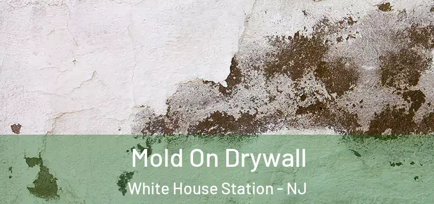Mold On Drywall White House Station - NJ