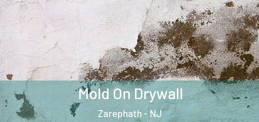  Mold On Drywall Zarephath - NJ
