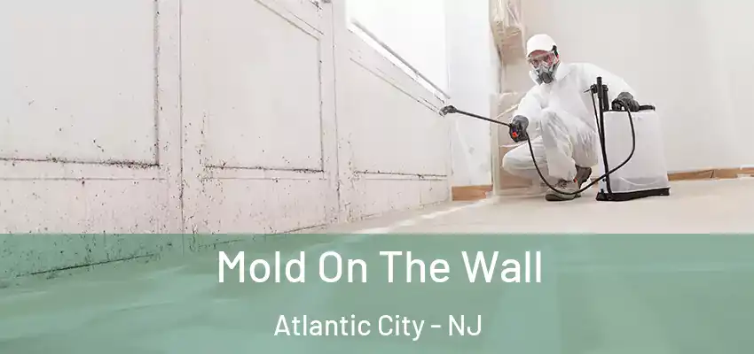 Mold On The Wall Atlantic City - NJ