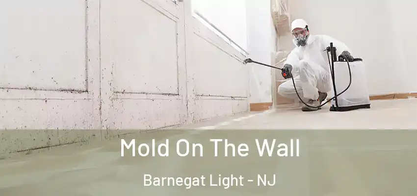  Mold On The Wall Barnegat Light - NJ