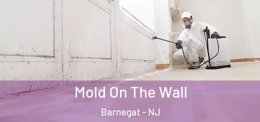 Mold On The Wall Barnegat - NJ