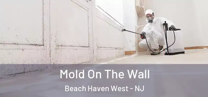Mold On The Wall Beach Haven West - NJ