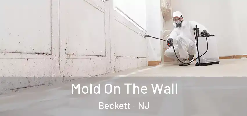 Mold On The Wall Beckett - NJ