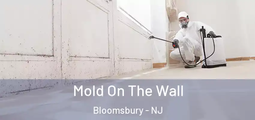  Mold On The Wall Bloomsbury - NJ