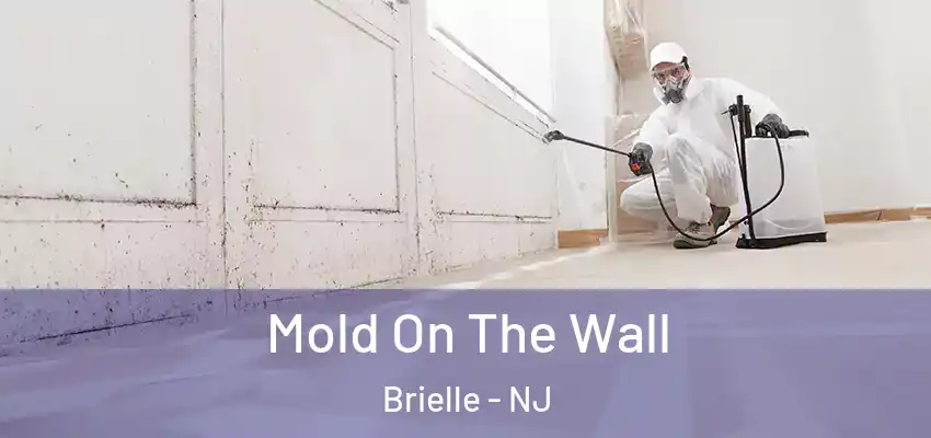  Mold On The Wall Brielle - NJ