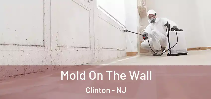  Mold On The Wall Clinton - NJ