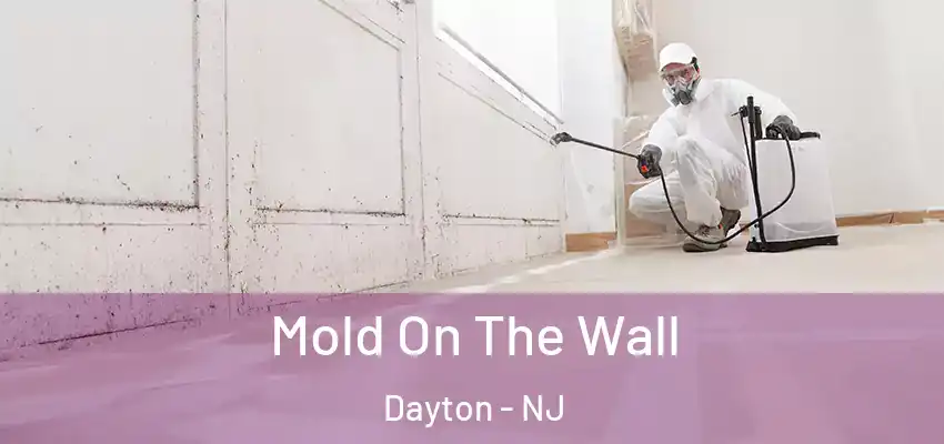 Mold On The Wall Dayton - NJ