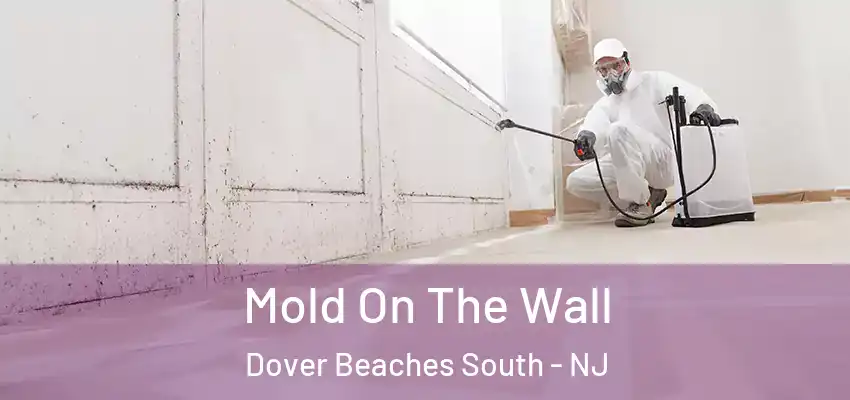 Mold On The Wall Dover Beaches South - NJ