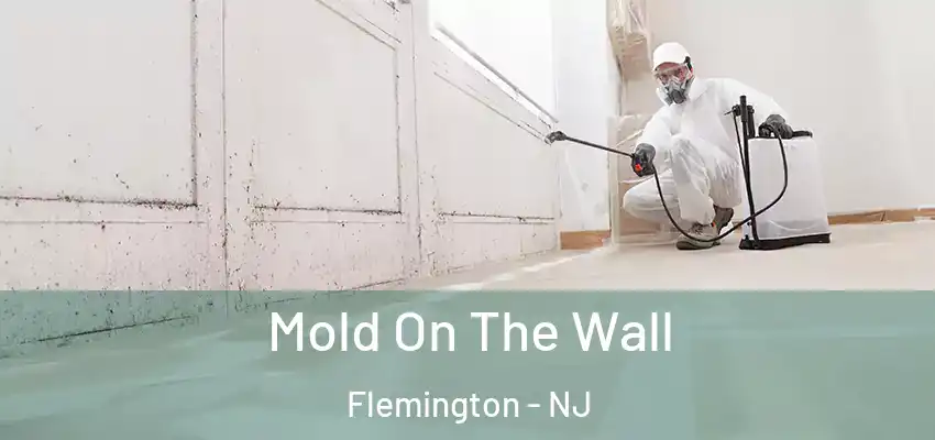  Mold On The Wall Flemington - NJ