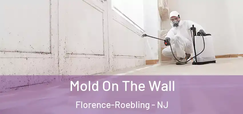  Mold On The Wall Florence-Roebling - NJ