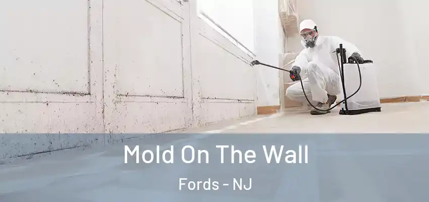  Mold On The Wall Fords - NJ