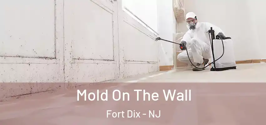 Mold On The Wall Fort Dix - NJ