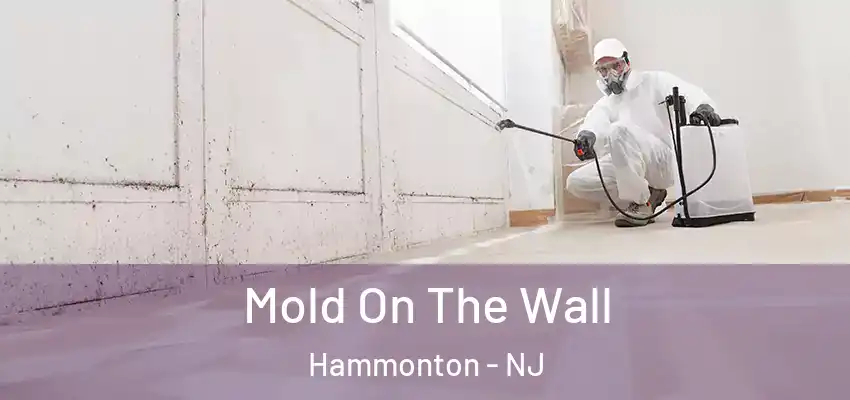 Mold On The Wall Hammonton - NJ