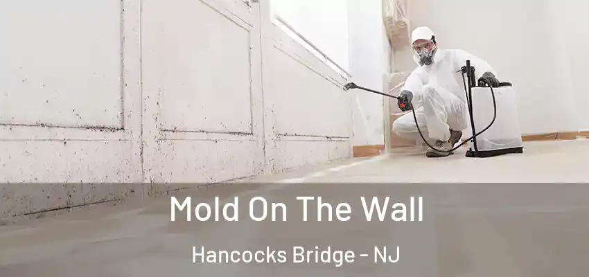 Mold On The Wall Hancocks Bridge - NJ
