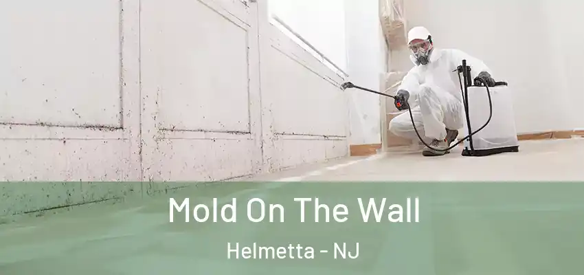  Mold On The Wall Helmetta - NJ