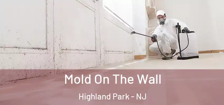  Mold On The Wall Highland Park - NJ