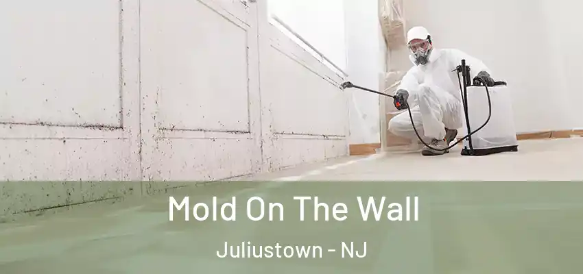  Mold On The Wall Juliustown - NJ