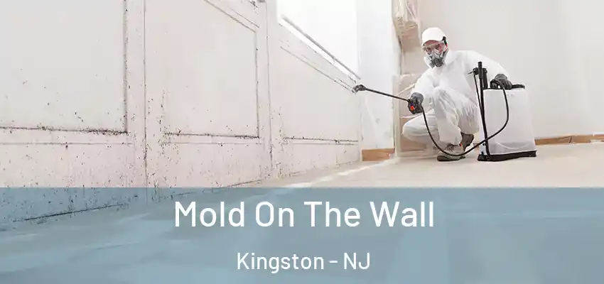 Mold On The Wall Kingston - NJ