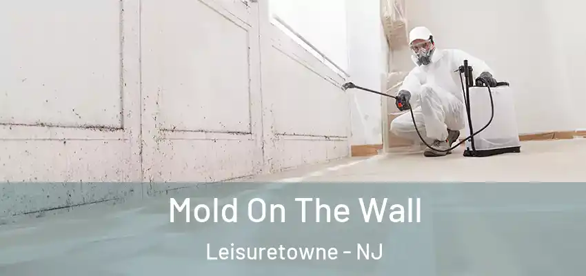 Mold On The Wall Leisuretowne - NJ