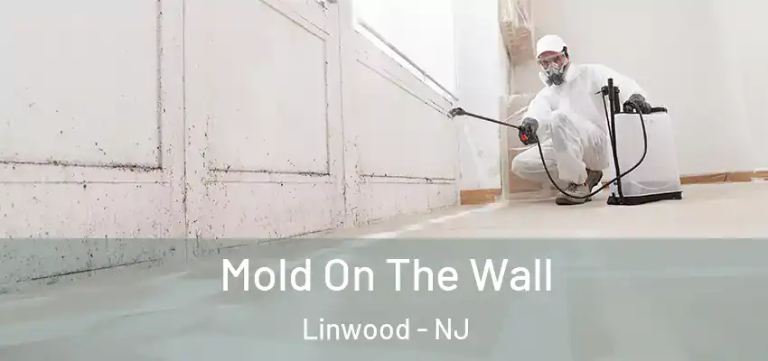 Mold On The Wall Linwood - NJ