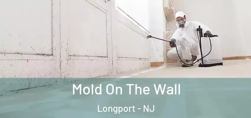 Mold On The Wall Longport - NJ