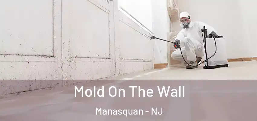  Mold On The Wall Manasquan - NJ