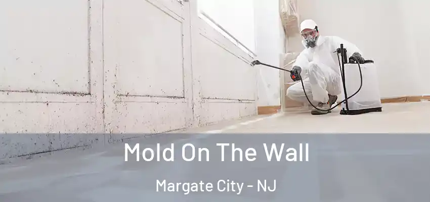 Mold On The Wall Margate City - NJ