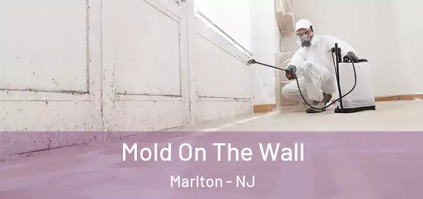 Mold On The Wall Marlton - NJ