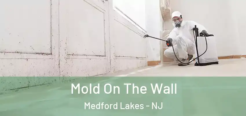 Mold On The Wall Medford Lakes - NJ