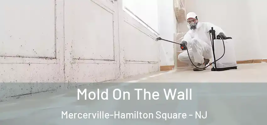  Mold On The Wall Mercerville-Hamilton Square - NJ