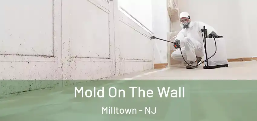 Mold On The Wall Milltown - NJ
