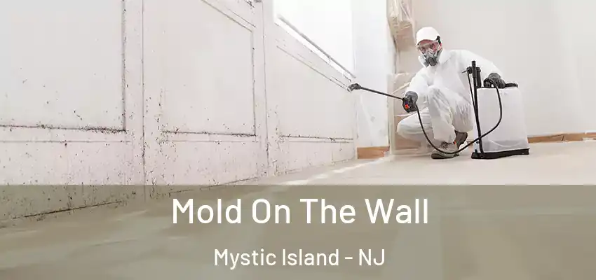 Mold On The Wall Mystic Island - NJ