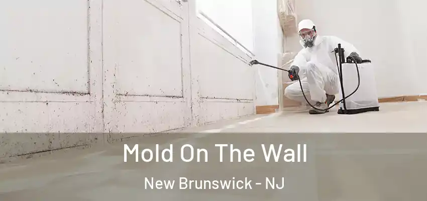 Mold On The Wall New Brunswick - NJ