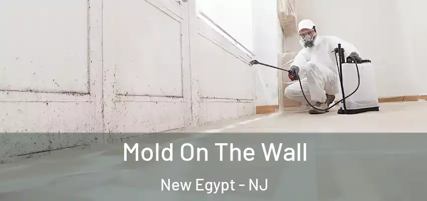 Mold On The Wall New Egypt - NJ