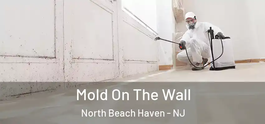  Mold On The Wall North Beach Haven - NJ