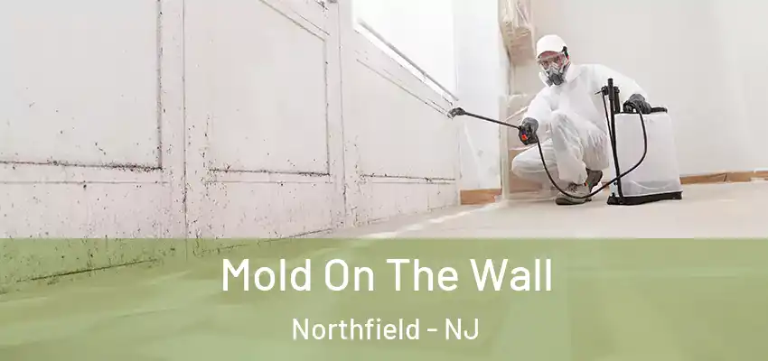 Mold On The Wall Northfield - NJ