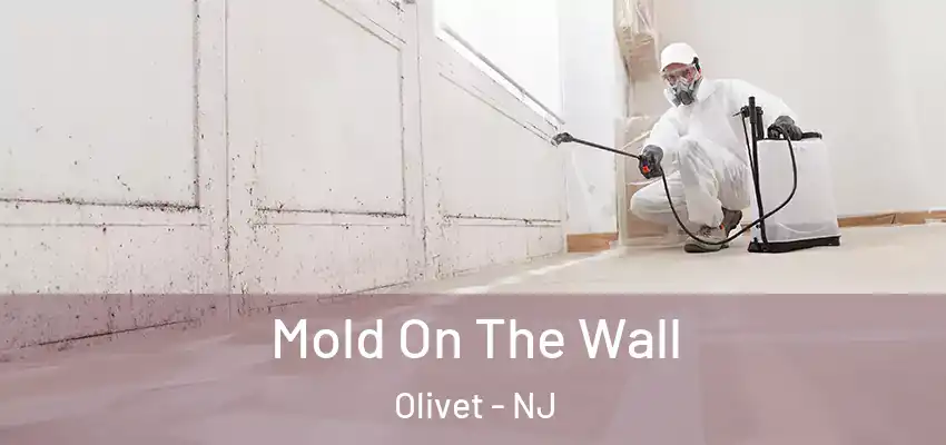 Mold On The Wall Olivet - NJ